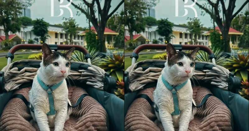 TikTok.com/bobbykertanegara